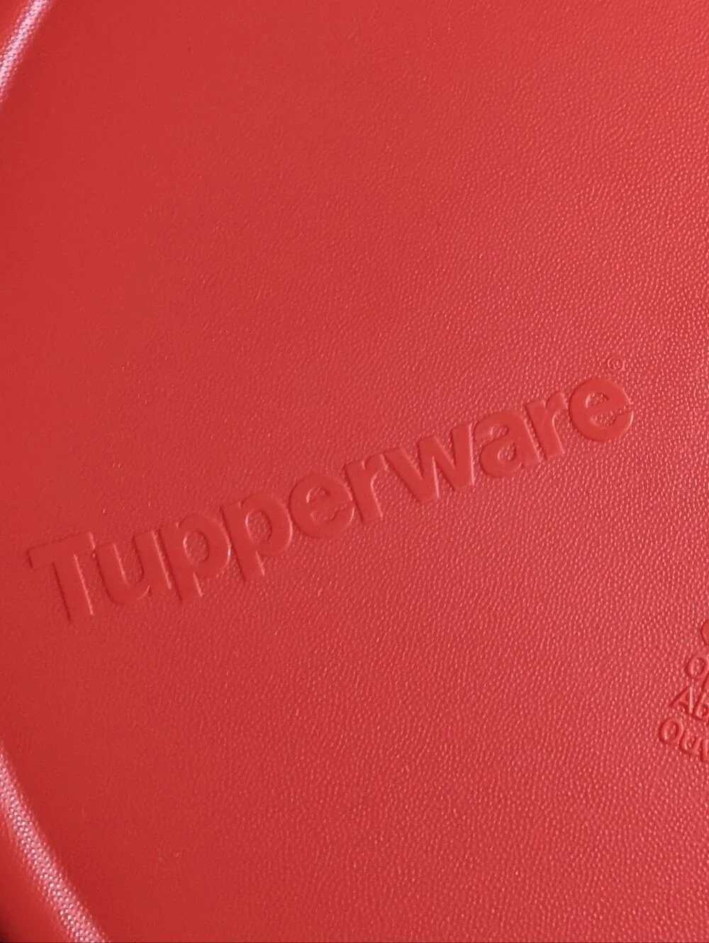 NWT Tupperware Medium Round Rock 'N Serve Container With Seal